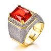 Bishop Ring (Stainless Steel) Red Zircon Gemstone - Fox - Rings